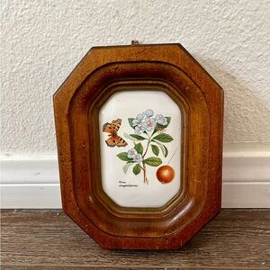 Wooden Framed Botanical Wall Art Berkeley house hand painted tile Italy